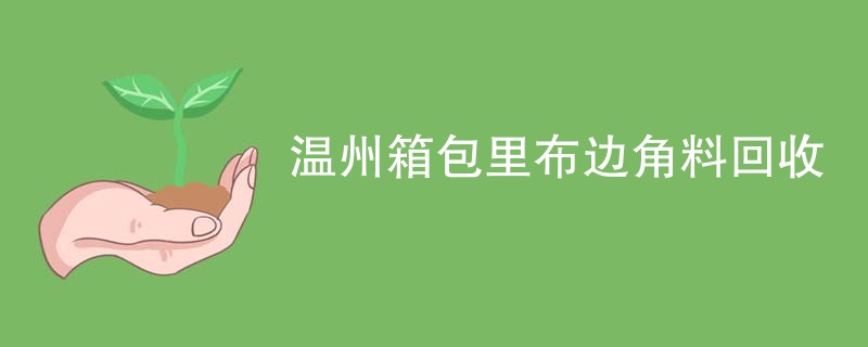 温州箱包里布边角料回收