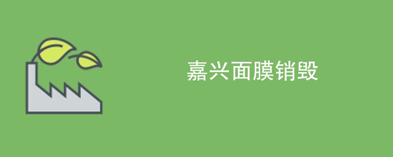 嘉兴面膜销毁