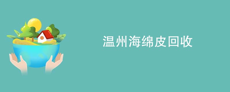 温州海绵皮回收