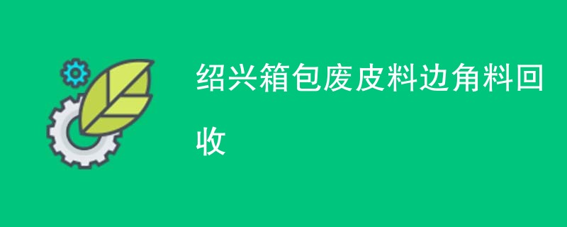 绍兴箱包废皮料边角料回收