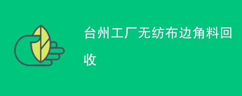 台州工厂无纺布边角料回收