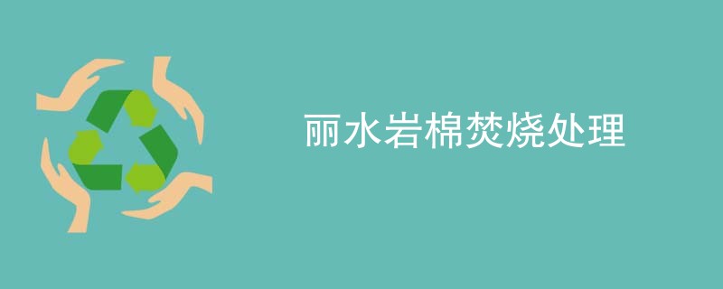 丽水岩棉焚烧处理