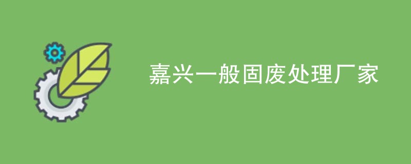 嘉兴一般固废处理厂家