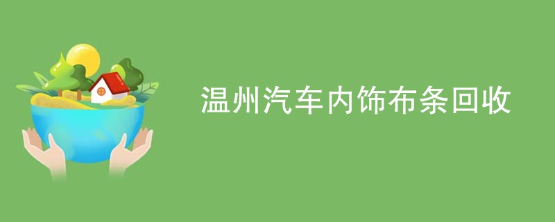 温州汽车内饰布条回收