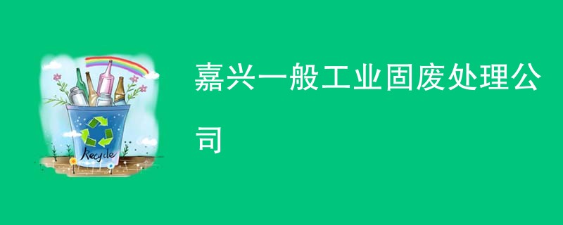 嘉兴一般工业固废处理公司